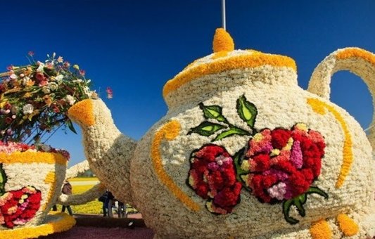 Виставка «квіткових гігантів» на Співочому полі у Києві. Купуйте квиток за акцією.