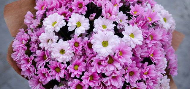 Кур&#39;єрська доставка букетів «kievflower» по києву зі знижкою