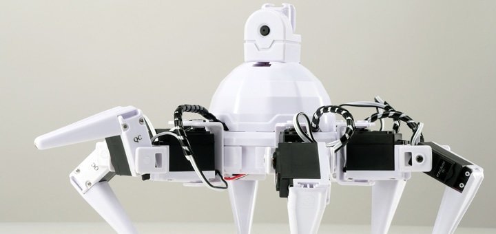 At the center &quot;smart robots&quot; there is a summer school of robotics for children from 8 years old