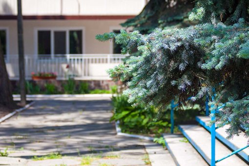 The territory of the recreation center &quot;volna&quot; in svetlovodsk. accommodation discounts 4