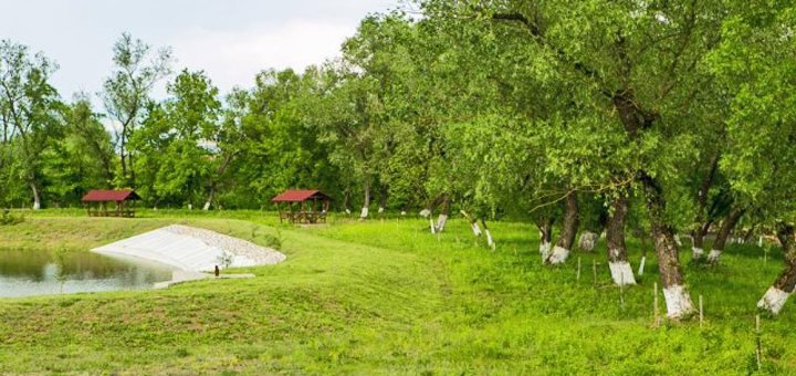 Знижки на відпочинок у комплексі «Іллара» в Іршаві34