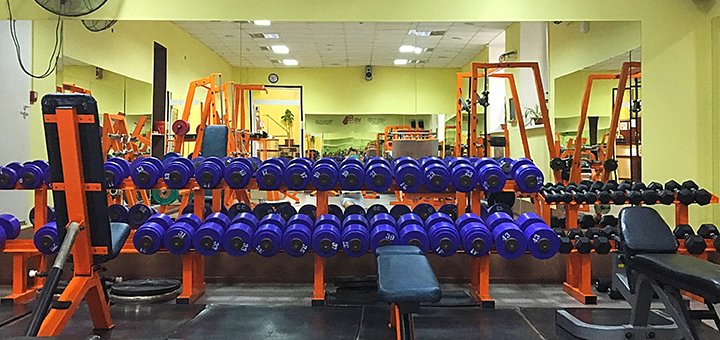 Unlimited workouts in the gym of the fitness club &quot;iron&quot; on poznyaki