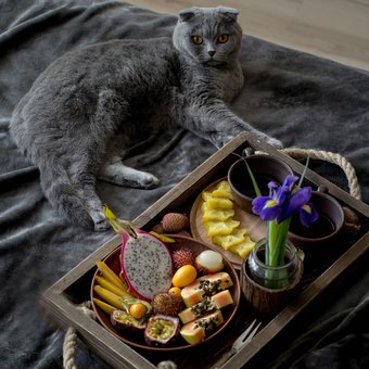 Exotic fruits «Fructo» with delivery across Ukraine