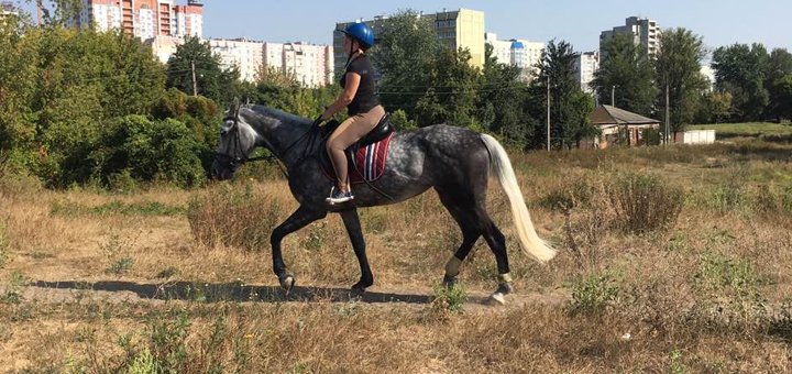 Merit equestrian club offers discounted horse riding
