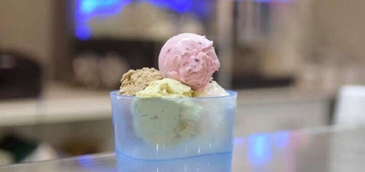 &quot;yogorino&quot; - frozen yogurt shop
