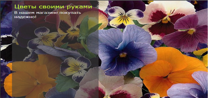 Цветы своими руками 