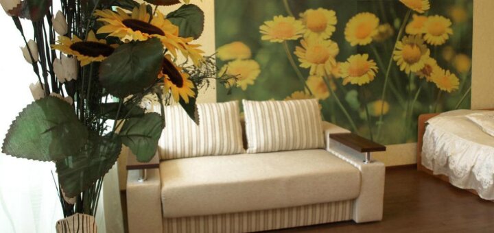 Inexpensive apartment &quot;apartment on alexander paul avenue with daisies&quot;