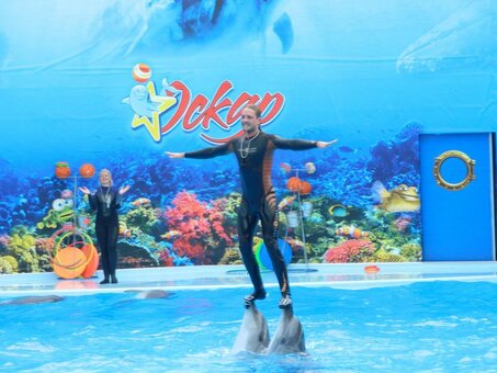 Discounts dolphinarium &quot;oscar&quot; genichensk