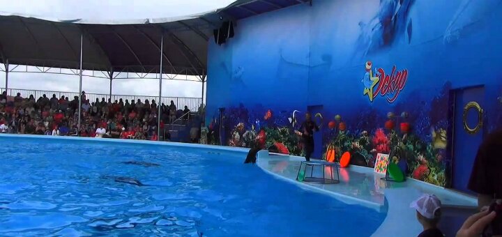 Promotions dolphinarium &quot;oscar&quot; genichensk