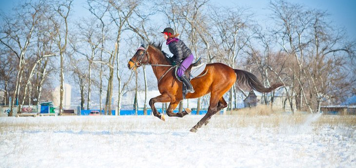Best horse rides at club rosinante