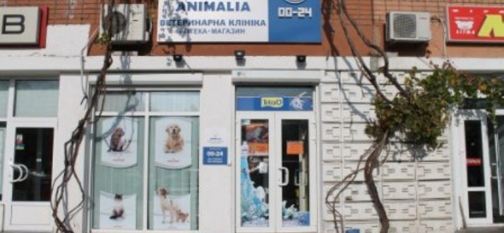 Клиника