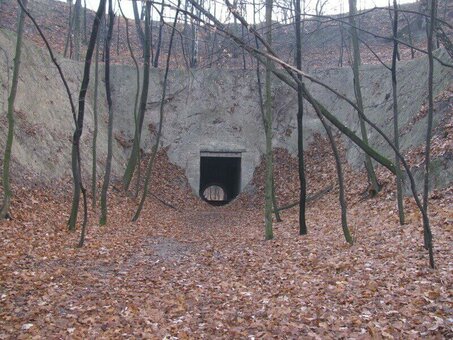 «лисогірський форт» київ