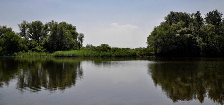 Отзывы о пляже на берегу реки Орель1