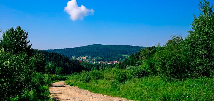 Знижки на відпочинок в готелі villa buhiv в сходніце11