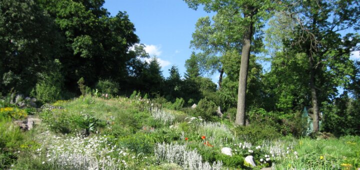 &quot;botanical garden named after a. v. fomin&quot; kiev