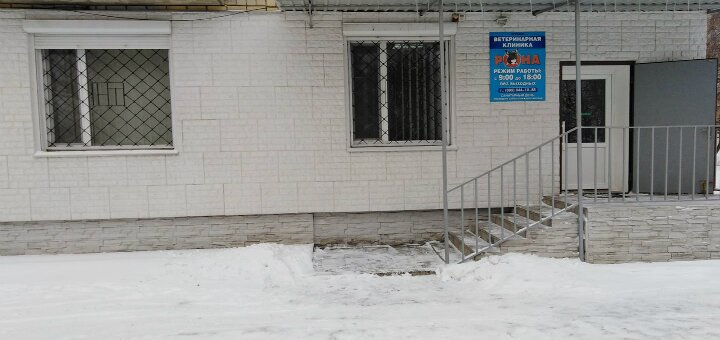 Акции и скидки ветеринарная клиника «Рона»