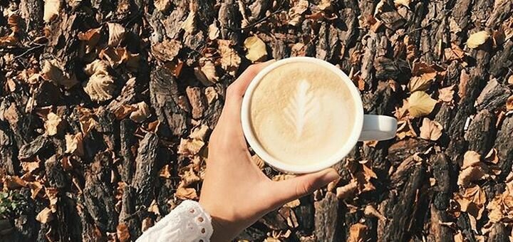 Discount on all menus in the coffee shop coffee and flowers