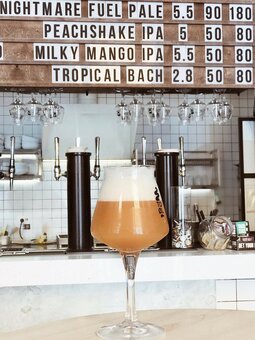 Паб Mash Taproom, Одесса. Скидка на меню