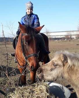 Конный клуб «Легион» в Одессе. Акции на прогулку на лошадях.