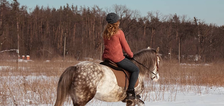 кінний клуб Family_horse_club прогулянки верхом ціна