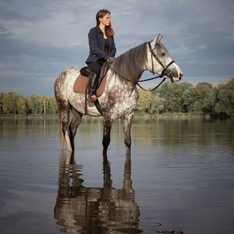 кінний клуб Family_horse_club прогулянки верхи ціна