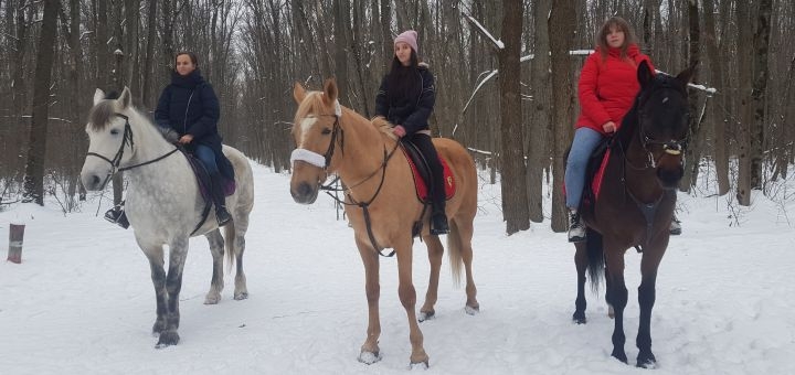 Кінний клуб Golden horse у Харкові