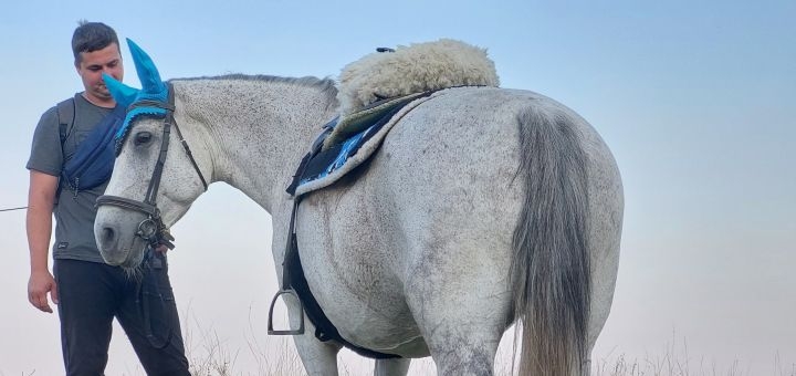 Конный клуб Нюшин Дворик, акции