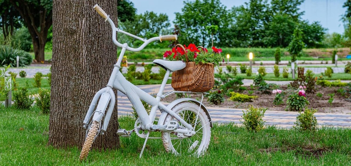 Готель Family`s Star на Дніпрі. Відпочивайте по акції 41