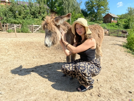 Osloff donkey farm near Kiev, donkey against the sky