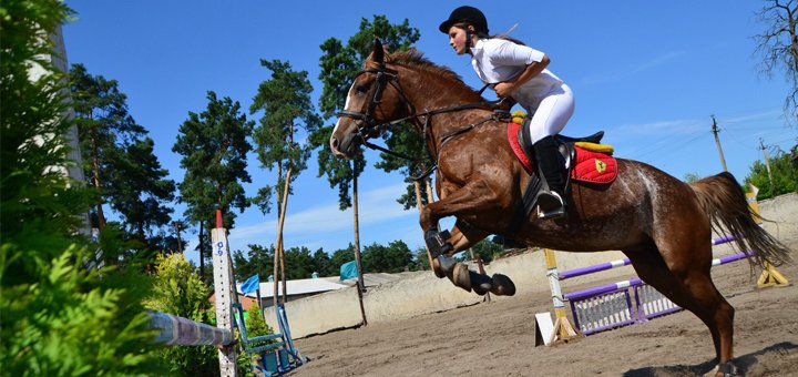 Horseback riding from the horse club &quot;gift of heaven&quot; with a discount of 2
