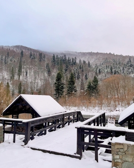 Парк-готель Svyat. Бронюйте за акцією 14