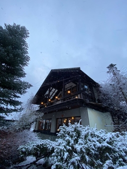 Парк-готель Svyat. Бронюйте за акцією 23