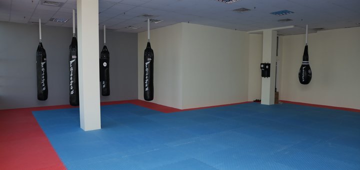 Club martial arts club "SV martial arts"