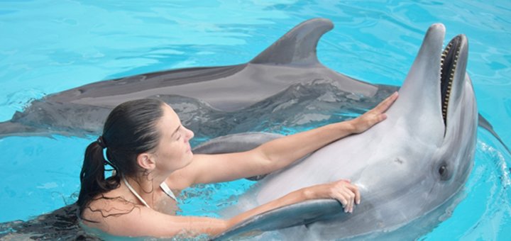 Акция в дельфинарии «Немо»