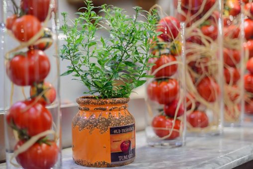 Фестиваль помідорів в ресторані «olio pizza». замовити столик зі знижкою