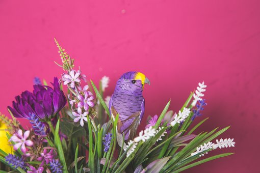 Весняна фотосесія у студії «Fresco studio» у Києві. Записуйтесь до фотографа за знижкою.