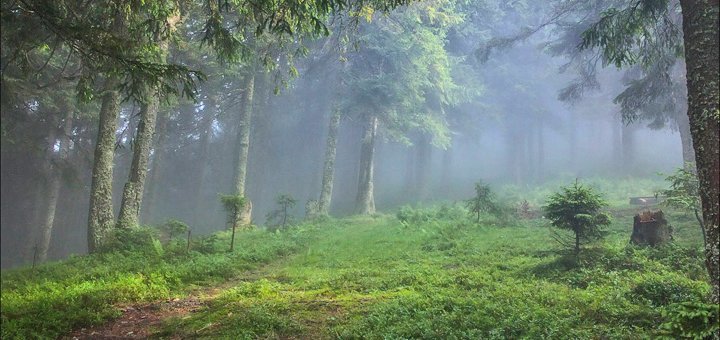 Територія готелю «Пацьорка». Акційна предложеніе4