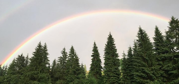 Знижки на відпочинок в готелі carparosa3