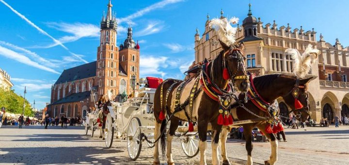 Скидки на туры  от туристического агентства «Malik tour»13