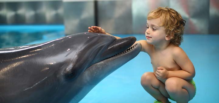 Shares in the Dolphinarium "Nemo".