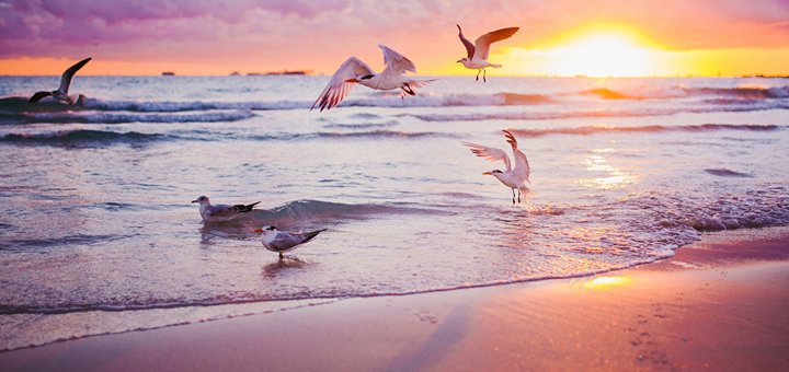 Discounts on holidays at the recreation center "Sunflower" on the first line from the sea in Kirillovka1