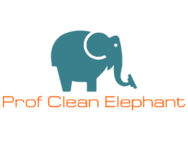Prof Clean Elephant
