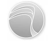 Silver Wave