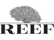 Reef