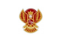 Феникс (Шацк)