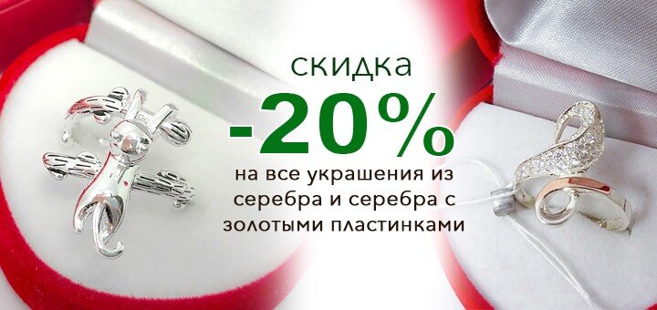 Серебро Дисконт Интернет Магазин